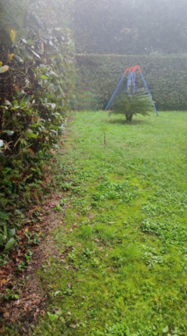 appartamento in vendita a Pieve a Nievole