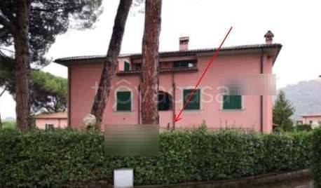 appartamento in vendita a Pieve a Nievole