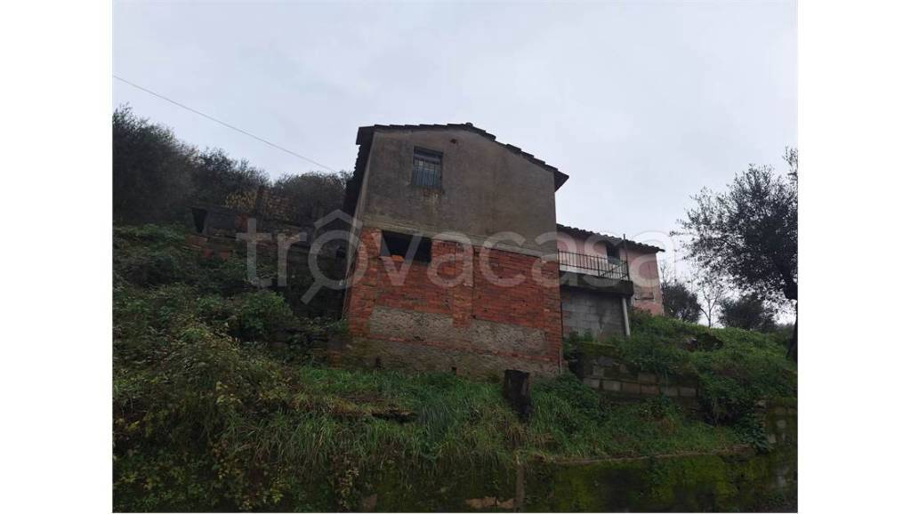 casa indipendente in vendita a Pieve a Nievole