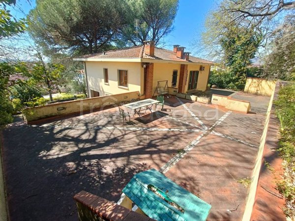 casa indipendente in vendita a Pieve a Nievole in zona Poggetto