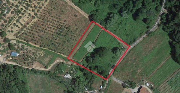 terreno agricolo in vendita a Pieve a Nievole
