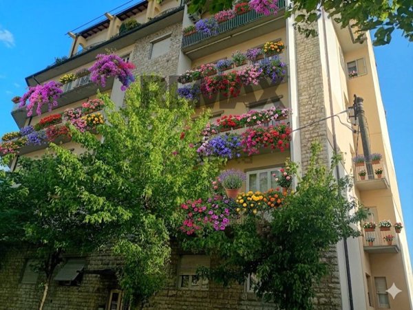 appartamento in vendita a Pieve a Nievole