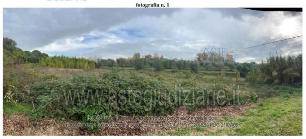 terreno agricolo in vendita a Pieve a Nievole