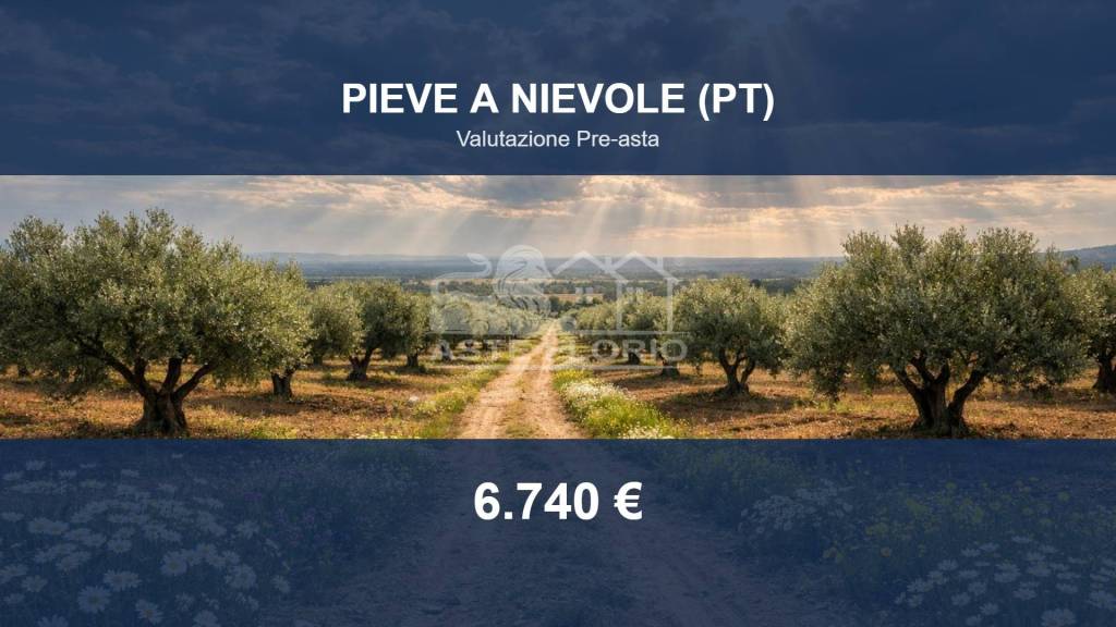 terreno agricolo in vendita a Pieve a Nievole in zona Poggetto