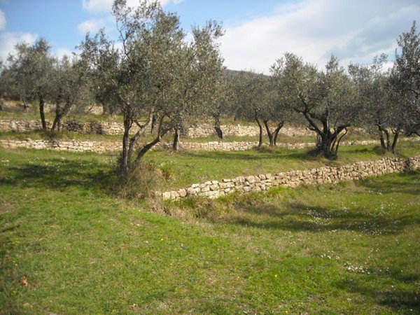 appartamento in vendita a Pistoia