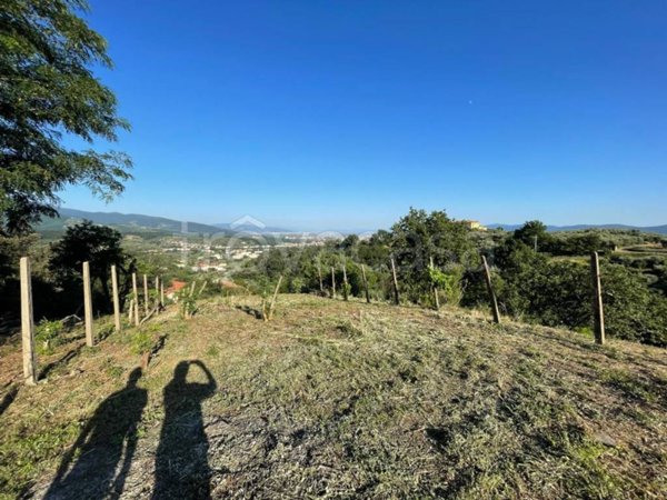 terreno agricolo in vendita a Pistoia in zona Campiglio