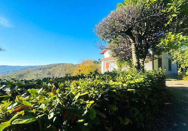 casa indipendente in vendita a Pistoia in zona Centro Città