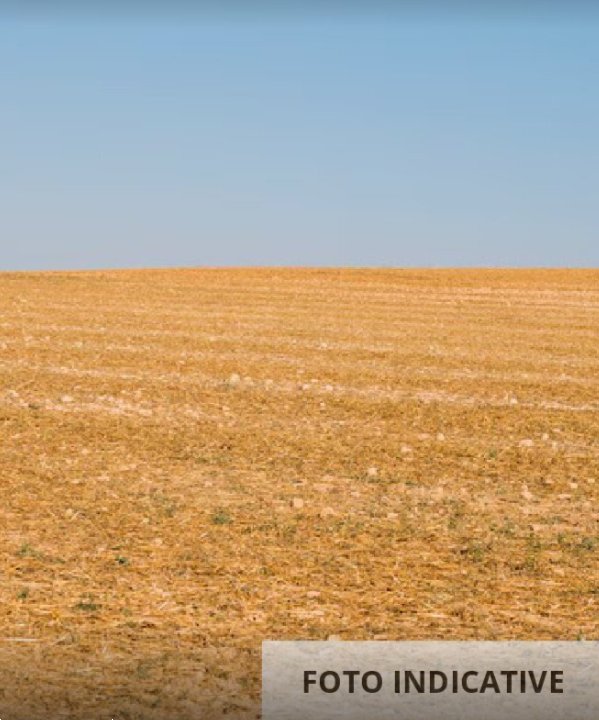 terreno agricolo in vendita a Pistoia