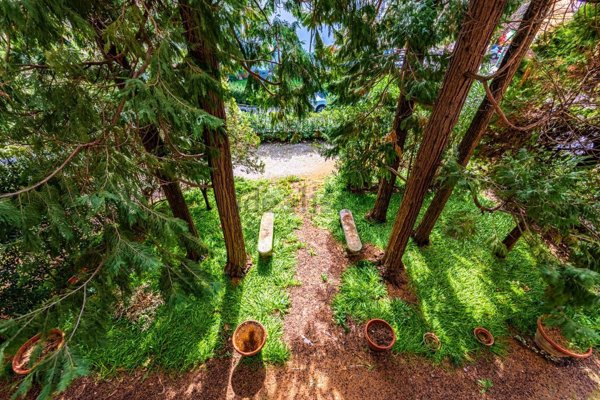 casa indipendente in vendita a Pistoia