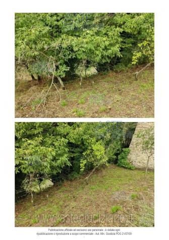 terreno agricolo in vendita a Pistoia in zona Arcigliano
