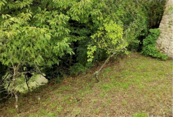 terreno agricolo in vendita a Pistoia in zona Arcigliano