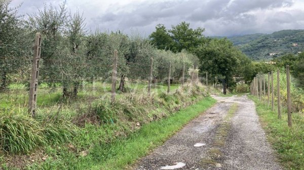 terreno agricolo in vendita a Pistoia in zona San Felice
