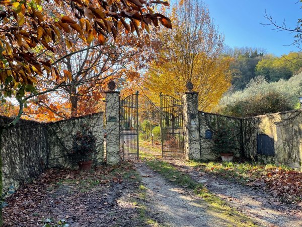 esavano in vendita a Pistoia
