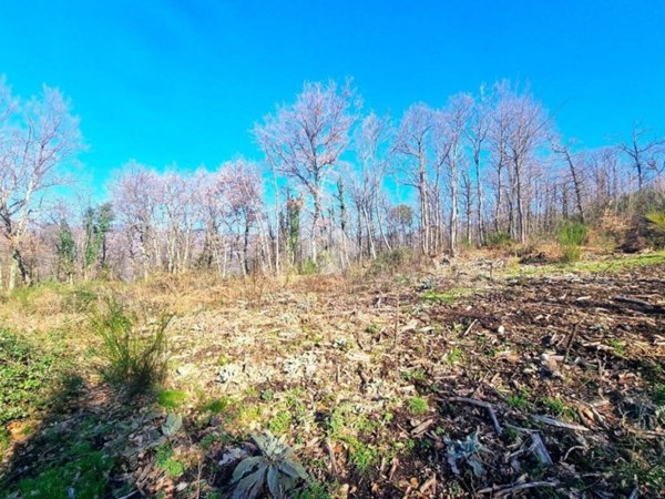 terreno agricolo in vendita a Pistoia in zona Valdibrana