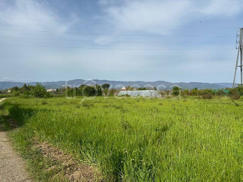 terreno agricolo in vendita a Pistoia in zona Spazzavento