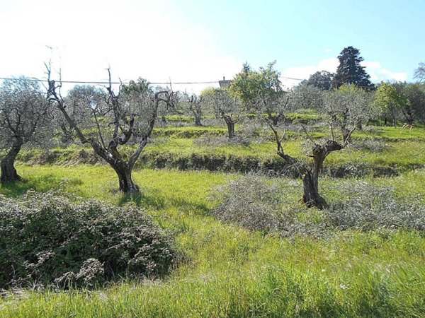 terreno agricolo in vendita a Pistoia in zona San Felice