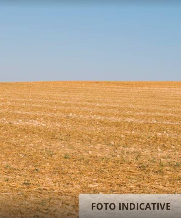 terreno agricolo in vendita a Pistoia