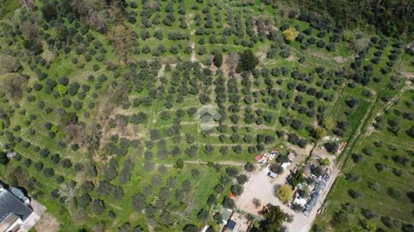 terreno agricolo in vendita a Pistoia in zona San Felice