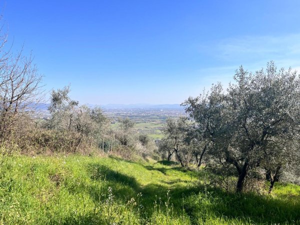 terreno agricolo in vendita a Pistoia