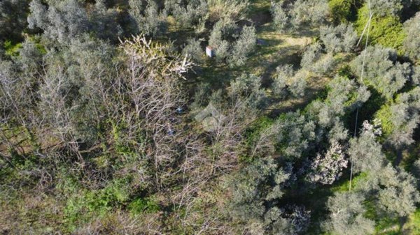 terreno agricolo in vendita a Pistoia in zona Campiglio