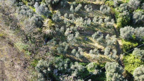 terreno agricolo in vendita a Pistoia in zona Campiglio