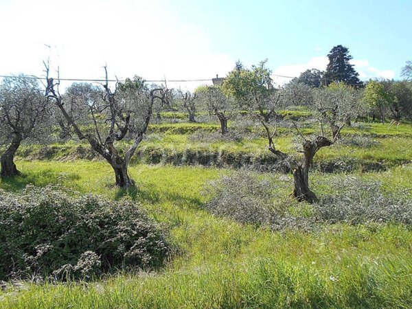 terreno agricolo in vendita a Pistoia in zona San Felice