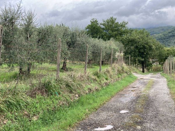 terreno agricolo in vendita a Pistoia in zona Campiglio