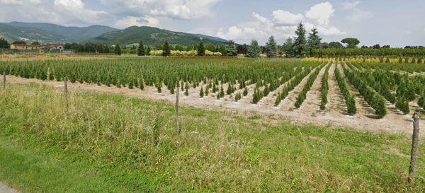 terreno agricolo in vendita a Pistoia