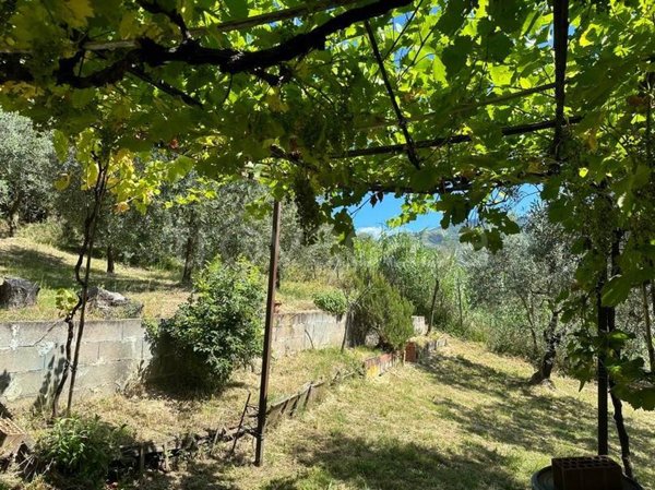 terreno agricolo in vendita a Pistoia in zona Valdibrana