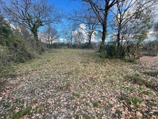 terreno agricolo in vendita a Pistoia in zona Arcigliano