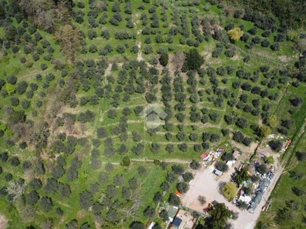 terreno agricolo in vendita a Pistoia in zona San Felice