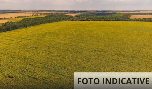 terreno agricolo in vendita a Pistoia