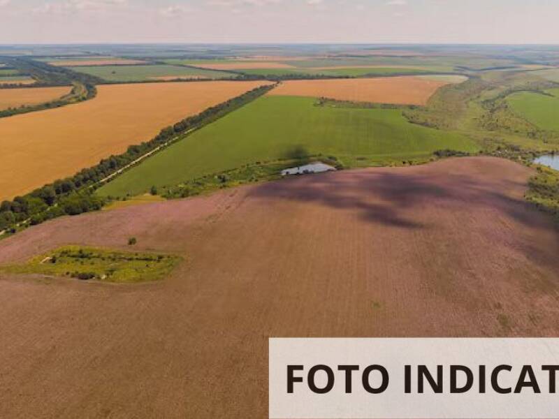 terreno agricolo in vendita a Pistoia