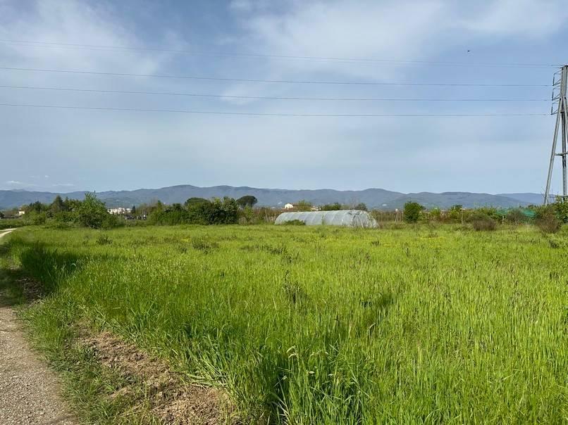 terreno agricolo in vendita a Pistoia in zona Spazzavento