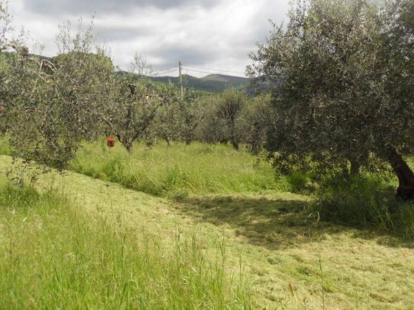 terreno agricolo in vendita a Pistoia