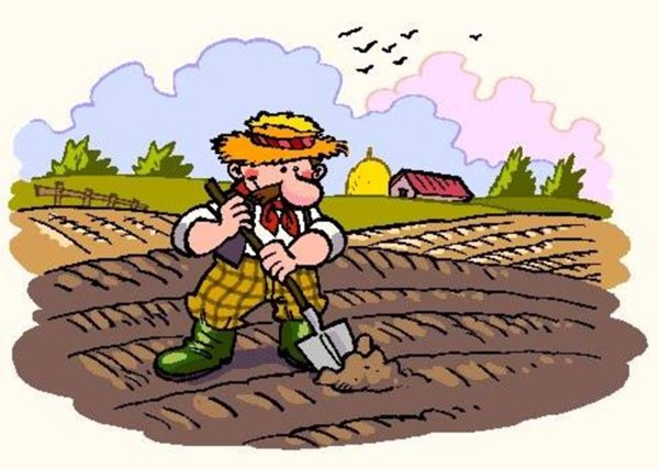 terreno agricolo in vendita a Pistoia in zona Stadio