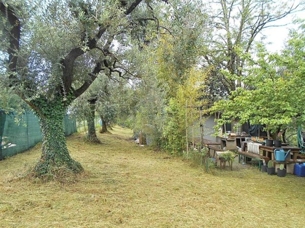 terreno agricolo in vendita a Pistoia in zona San Felice