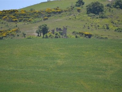 azienda agricola in vendita a Pistoia