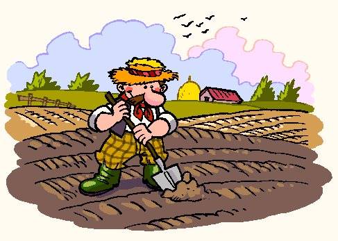 terreno agricolo in vendita a Pistoia