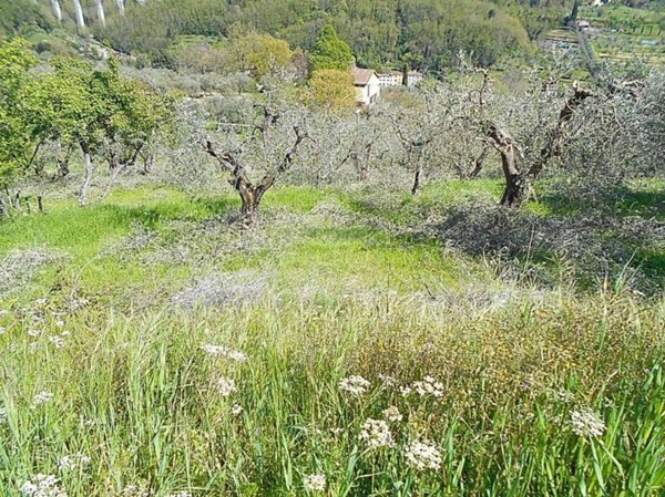 terreno agricolo in vendita a Pistoia