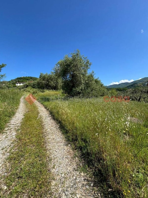terreno agricolo in vendita a Pistoia in zona Sammommè