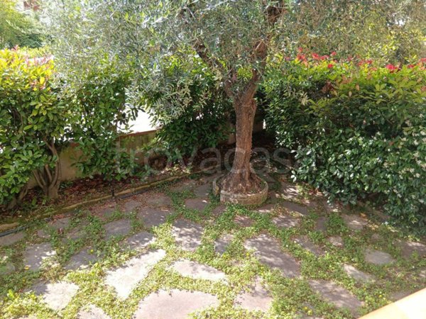 casa indipendente in vendita a Pistoia