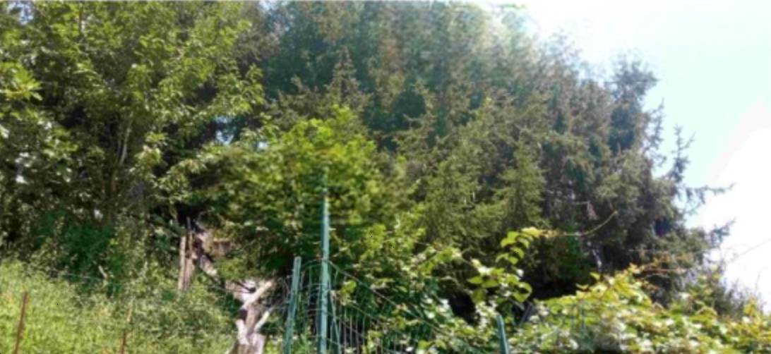 appartamento in vendita a Pistoia in zona Campiglio