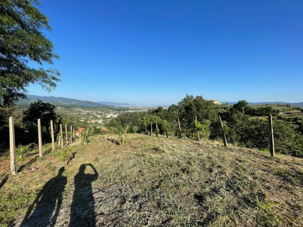 terreno agricolo in vendita a Pistoia in zona Campiglio
