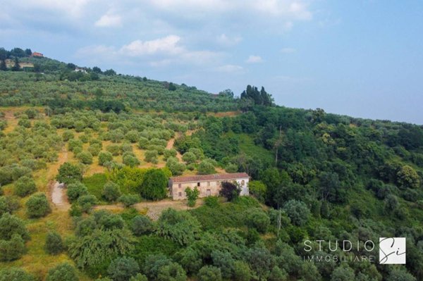 terreno agricolo in vendita a Pistoia in zona Valdibrana