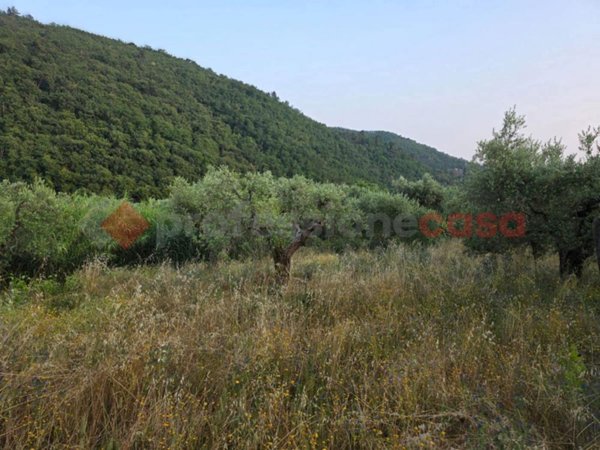 terreno agricolo in vendita a Pistoia in zona Centro Città