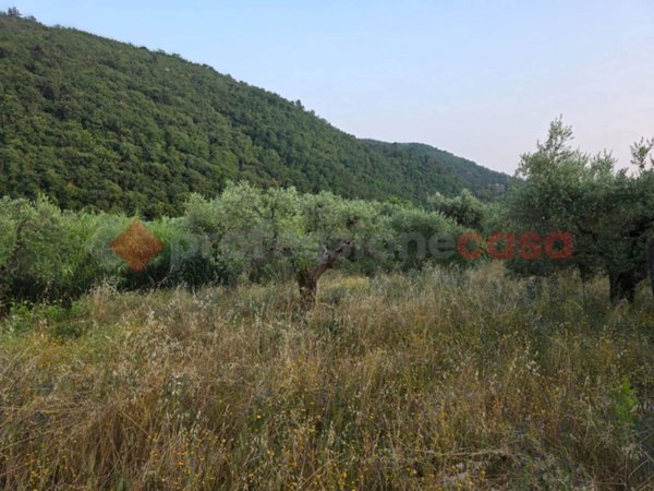 terreno agricolo in vendita a Pistoia in zona Centro Città