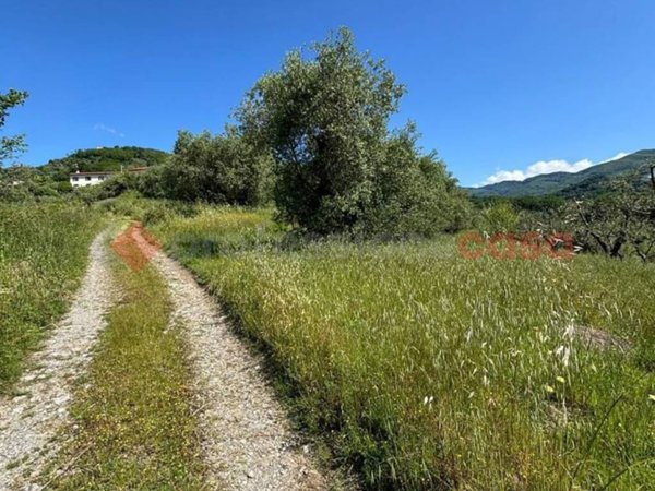terreno agricolo in vendita a Pistoia in zona Le Grazie