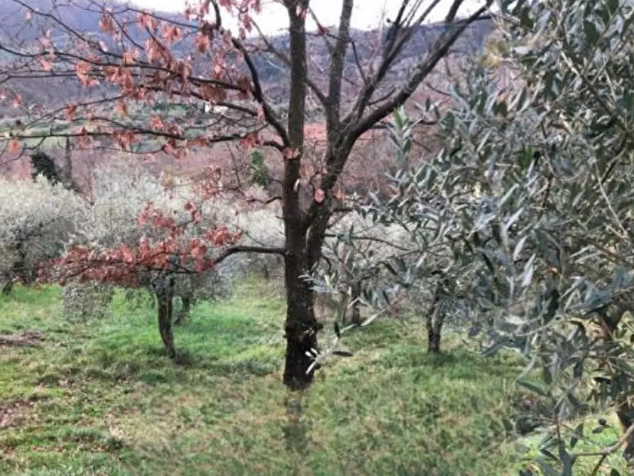 terreno edificabile in vendita a Pistoia