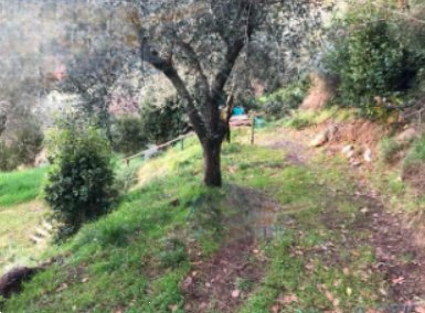 terreno edificabile in vendita a Pistoia